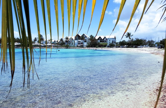 Beautiful ground floor apartment, pool, beach access, wifi