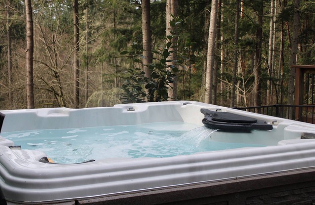 Beautiful Home in the middle of Vashon Island