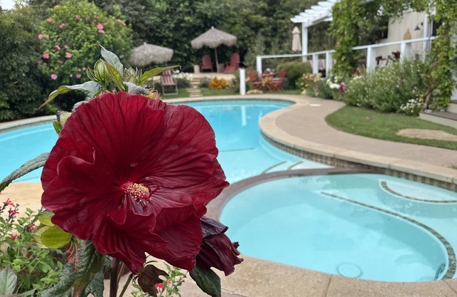 Beautiful home on 1/2 acre lush garden - and 1 mile to the beach!