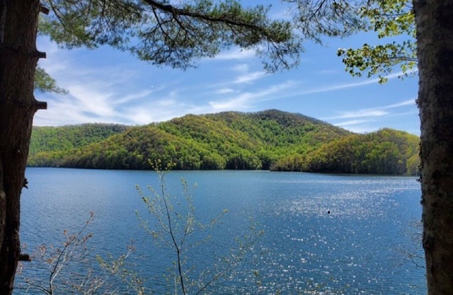 Beautiful Lake Nantahala Home-Lakefront with Amazing Views-Private Dock+Boat