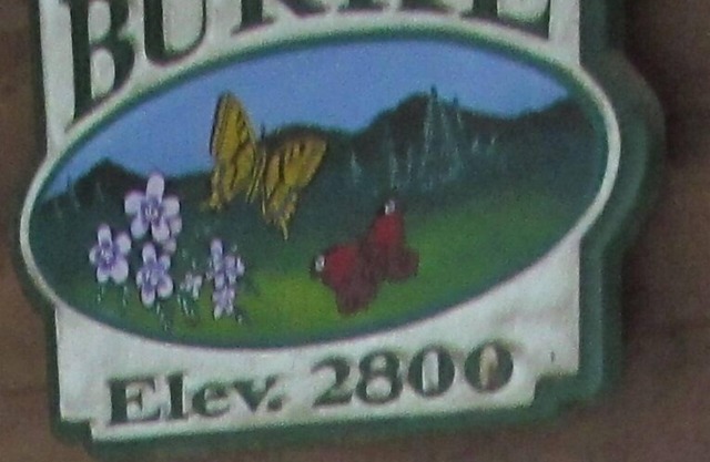 Beautiful Mountain Cabin on Bold Mountain Creek only 5 minutes from Dillsboro NC