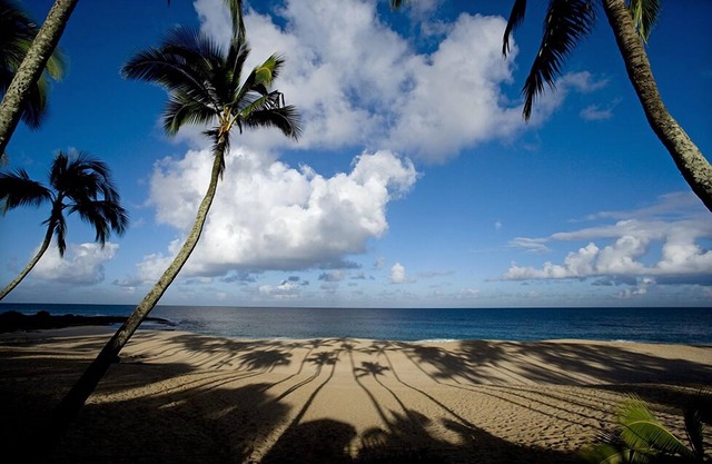 Beautiful North Shore Home at Ke Iki Beach. 30-day minimum bookings.