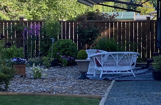 beautiful RV situated in my backyard with private patio and barbecue.