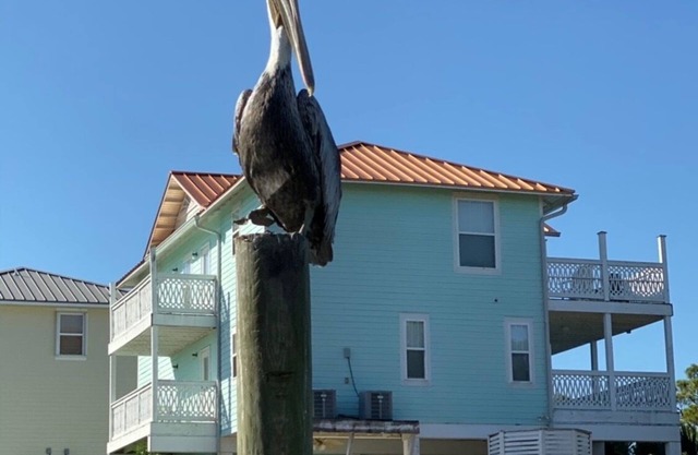 Beautiful Spacious Beach Home with available boat dock