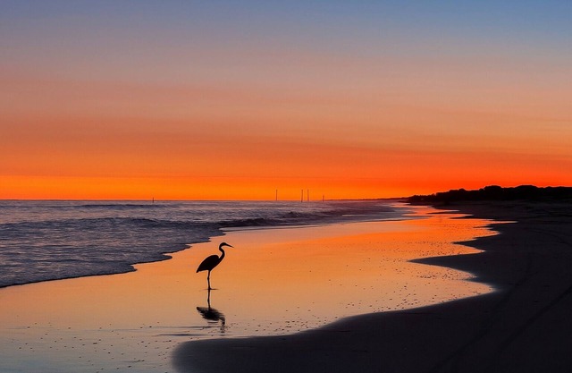 Beautiful, Spacious Condo with Private Beach Access!