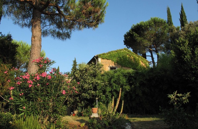 Beautiful vacation apartment in the Umbria-Latium-Tuscany triangle