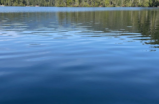 Beautiful vintage Airstream on the Sunshine Coast- close to ocean, lakes, hiking