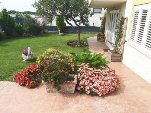 Bed and Breakfast Angolo Fiorito