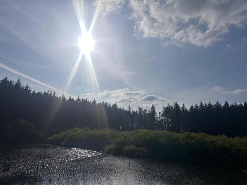 Bell Tent - Lakeside