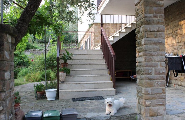 BELLA VISTA BOLOGNESE