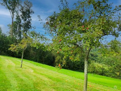 Belle chaumière avec vue panoramique et piscine