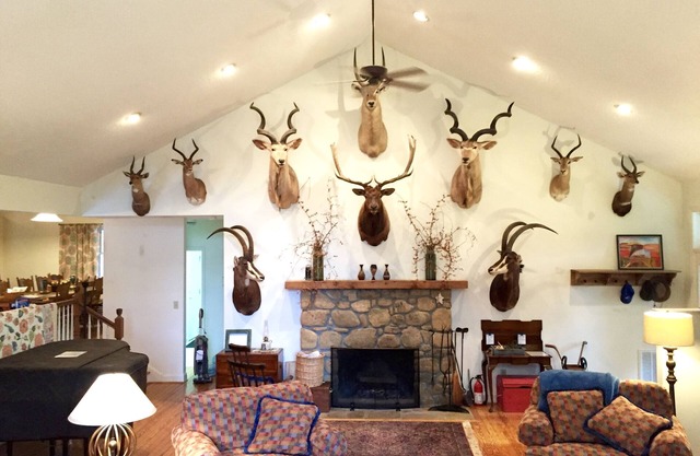 Best Of Both! Private Asheville Retreat Near Attractions and Surrounding Areas