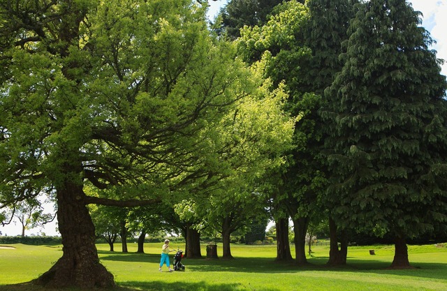 Best Western Plus Centurion Hotel