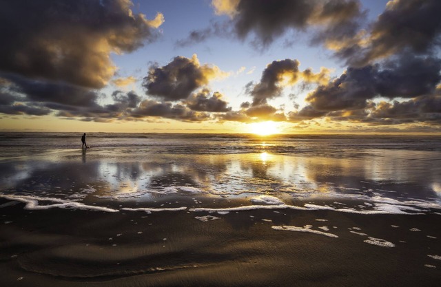 Best Western Plus Ocean View Resort