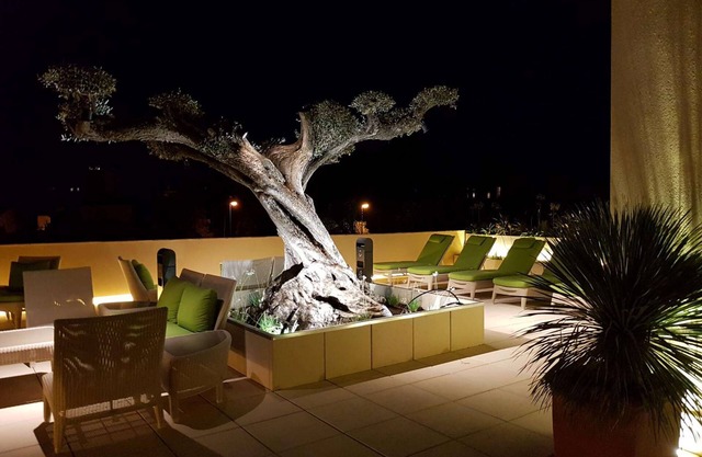 Best Western Premier Montfleuri