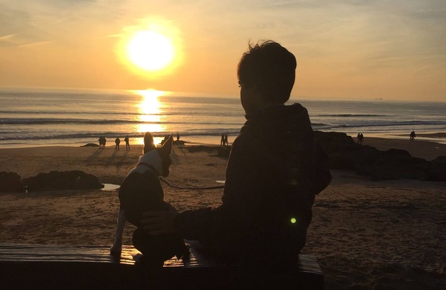 Between the Sea and Lisbon