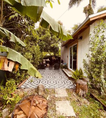 Bienvenidos a la Pequeña Selva de Legnalife