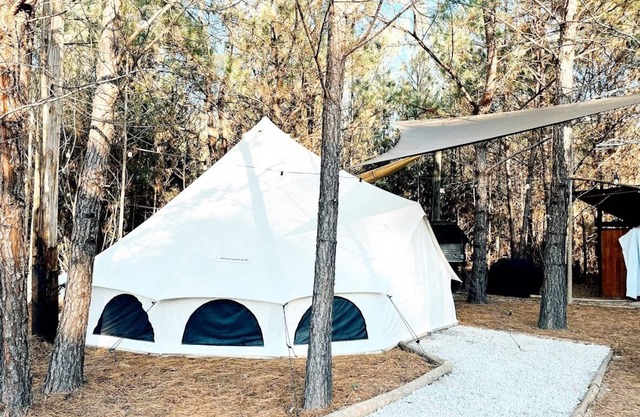 🐻 Big Bear Glamping | Spacious Forest Retreat 🌲🔥 Sleeps 8