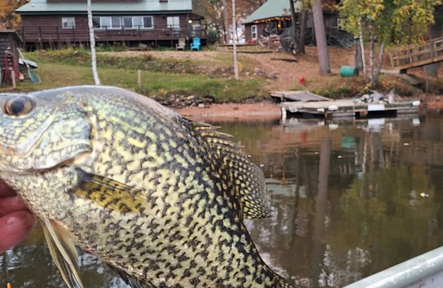 Big Chip Lodge. Awesome view. Dock 50' away. Authentic Historical Wisconsin.