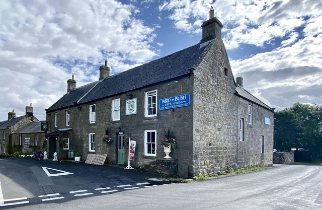 Bird In Bush Elsdon