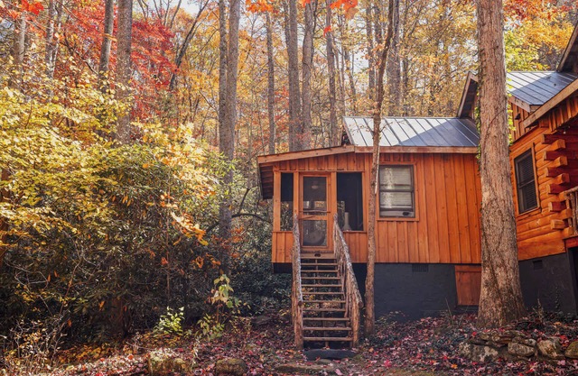 Bird's Nest cabin at Cabin Fever in NC!