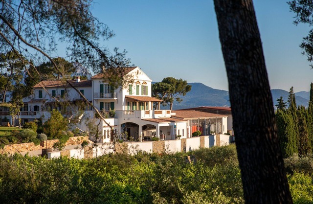 Birds II - Domaine de la Navicelle