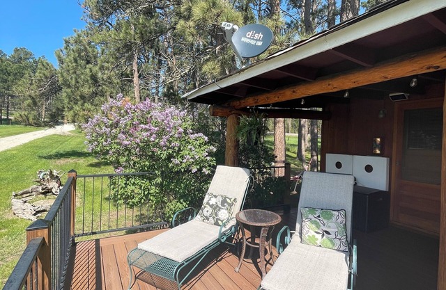 Black Hills Cabin in Nemo