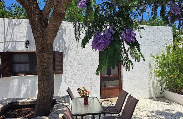 Blue Acacia in Alinda Leros