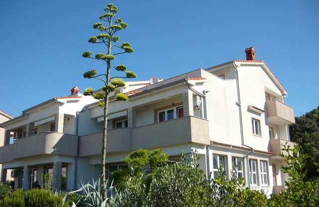 Blue apartment Jadro island Rab