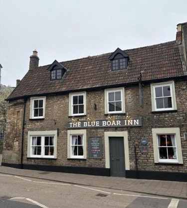 Blue Boar