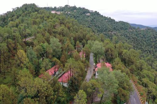 Blue Pines Resort & Restaurant, Murree