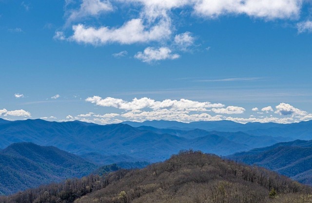 Blue Valley in the Lodge | Mtn. View | Fireplace