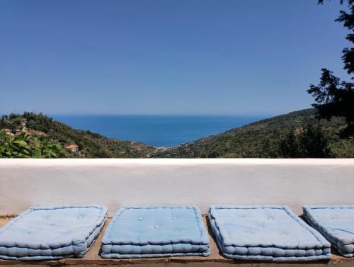 Blue Vista-Ikaria