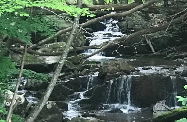 Book Now for Summer Stays! 2 Bedroom Cabin near Creek with Mountain Views