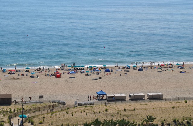 Book your 2030 Vacation, Oceanfront-Remodeled 2019