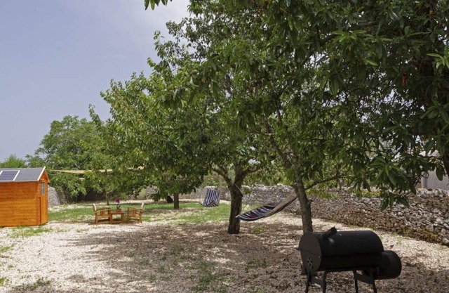 Borghetto Antoinette Pet Friendly Pedal FREE BIKE