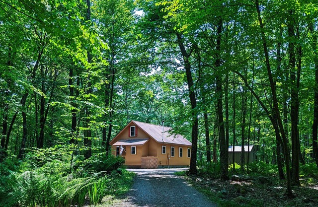 Boulder Ridge Cabin -a private chalet in the woods