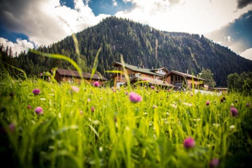 Braito's Seaside Lodges und Suites, Ferienhäuser und Ferienwohnungen