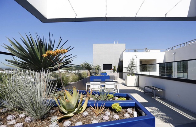 Bright Culver City 1BR w/Gym & Roof Terrace, nr 405, by Blueground