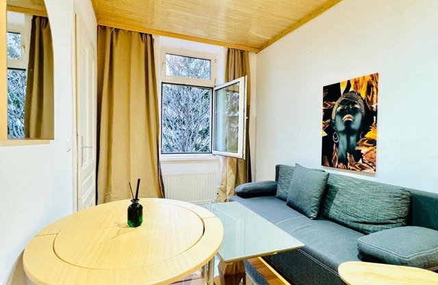 Bright Room w/Desk | Walk to FAC Platz