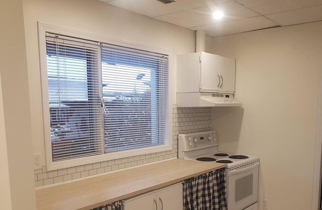 Bright Walk Out Basement Suite