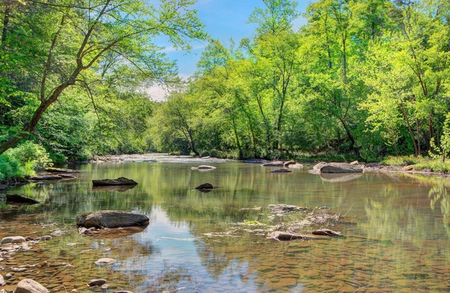 Broad River Roost - Dog Friendly Cabin With Riverfront Fire Pit