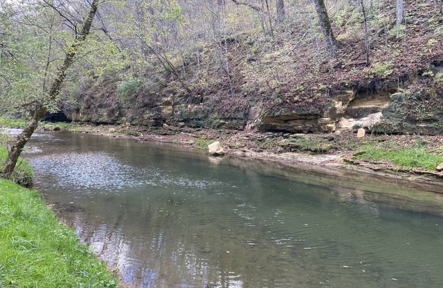 Brye’s Bad Axe Glampsite