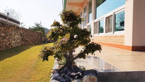 Buan sukranjeong pension