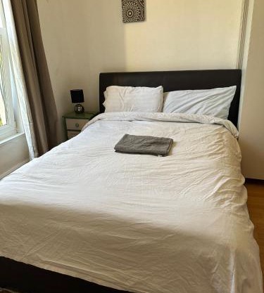 Budget Stay near Singleton Hospital 5