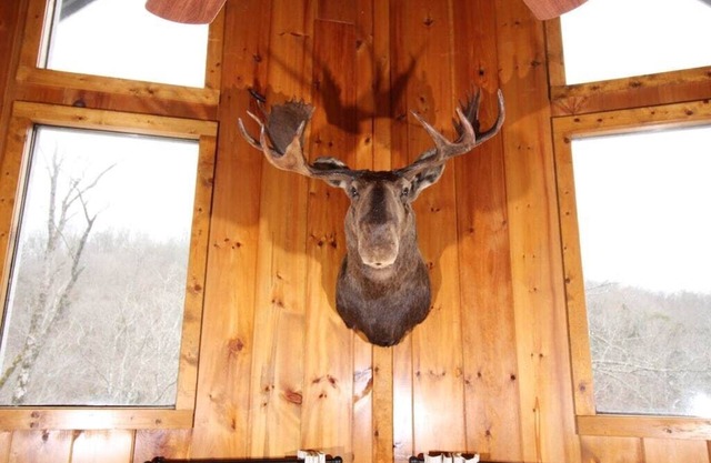 Bullwinkle Inn' private dock, hot tub, quiet water