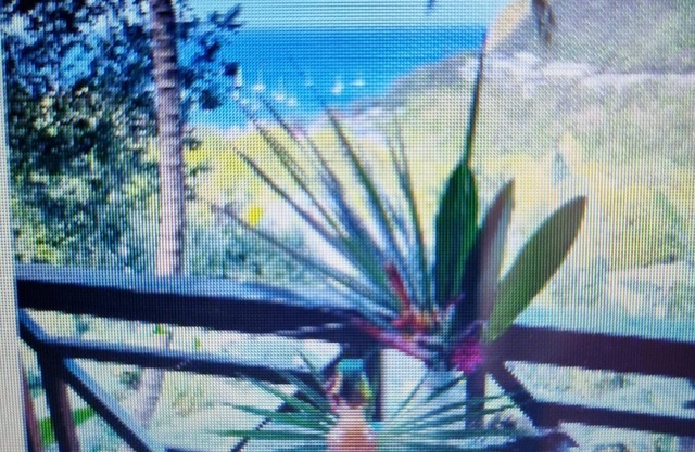 Bungalow Bois Marie Galante Climatisé Avec vue mer Panoramique