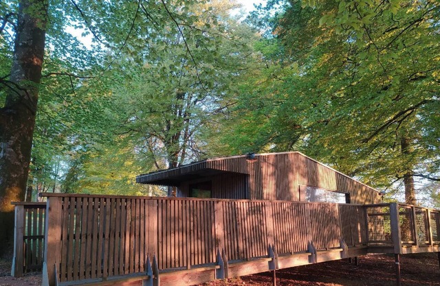 BUNGALOW TERRACE (3pers) with private hot TUB - Forest stopover