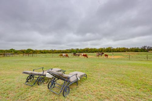 Bunkhouse on Working Texas Ranch with Horses and Cows!