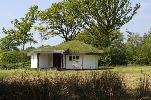 Buzzard's Nest Glamping Oak